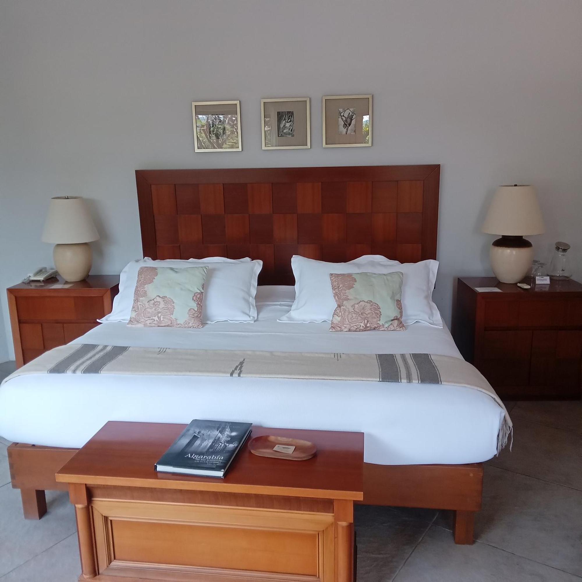 Casa Alamillo Hotel Boutique マリナルコ エクステリア 写真