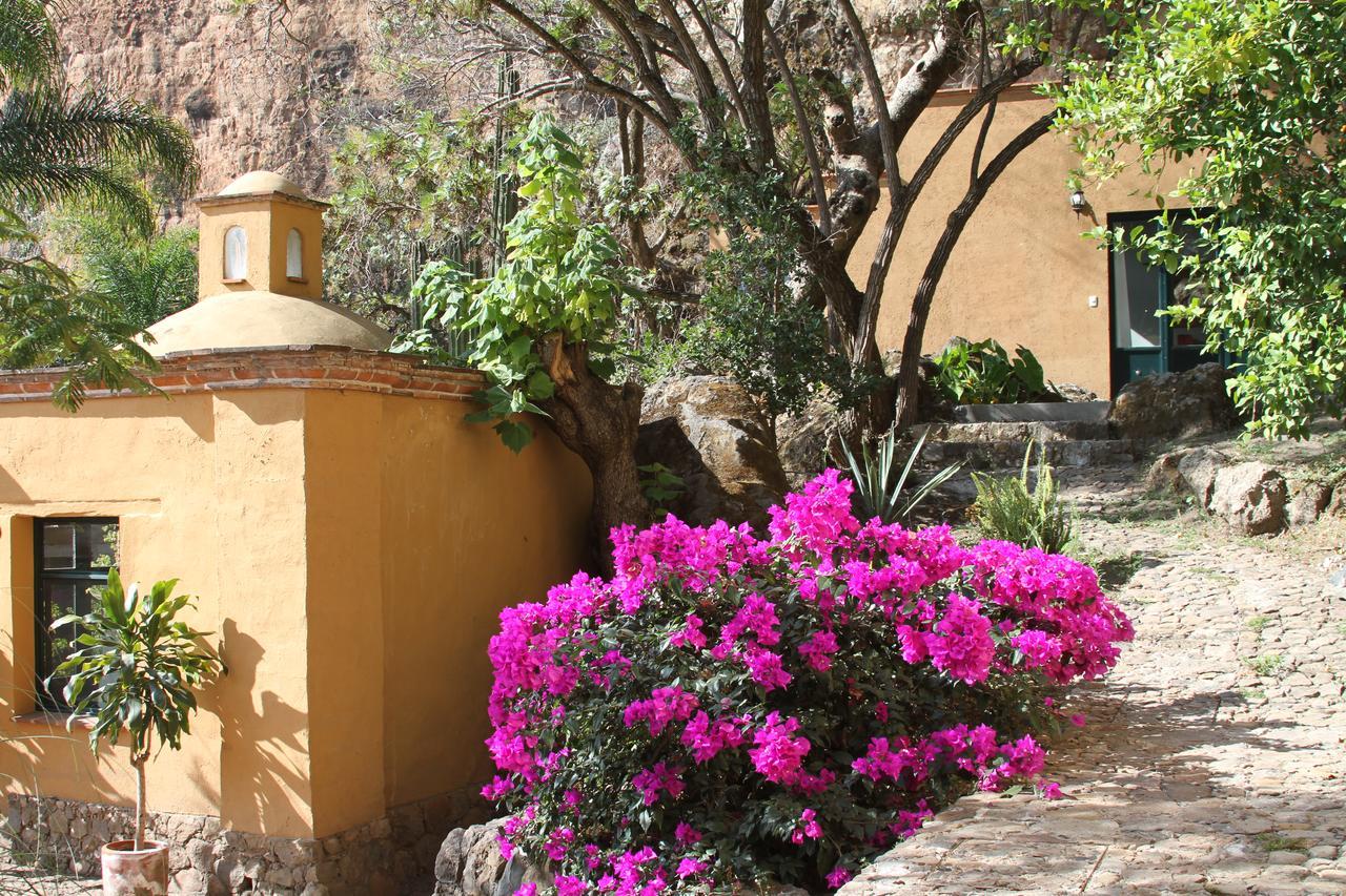 Casa Alamillo Hotel Boutique マリナルコ エクステリア 写真